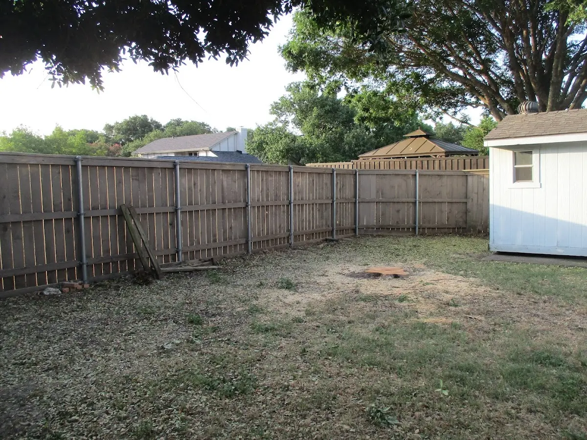 Cleared yard after professional tree removal in Livingston Manor