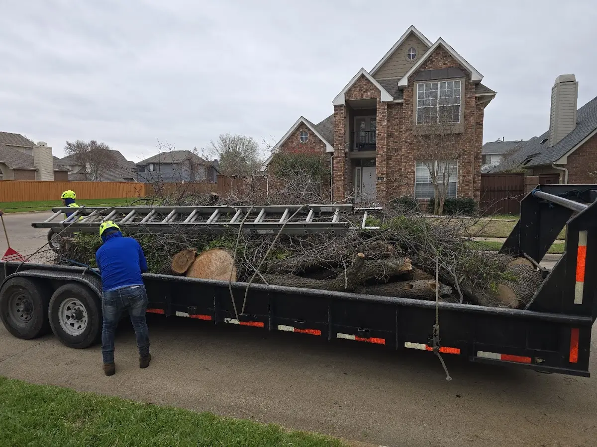 Expert Tree Fertilization with proper safety equipment in Livingston Manor